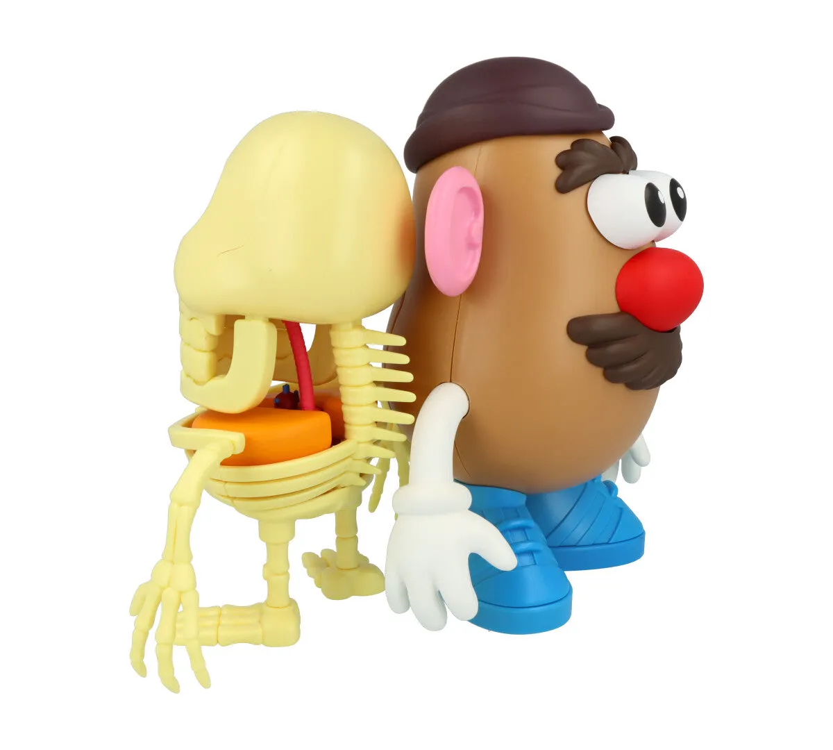 4D XXRAY Mr Potato Head