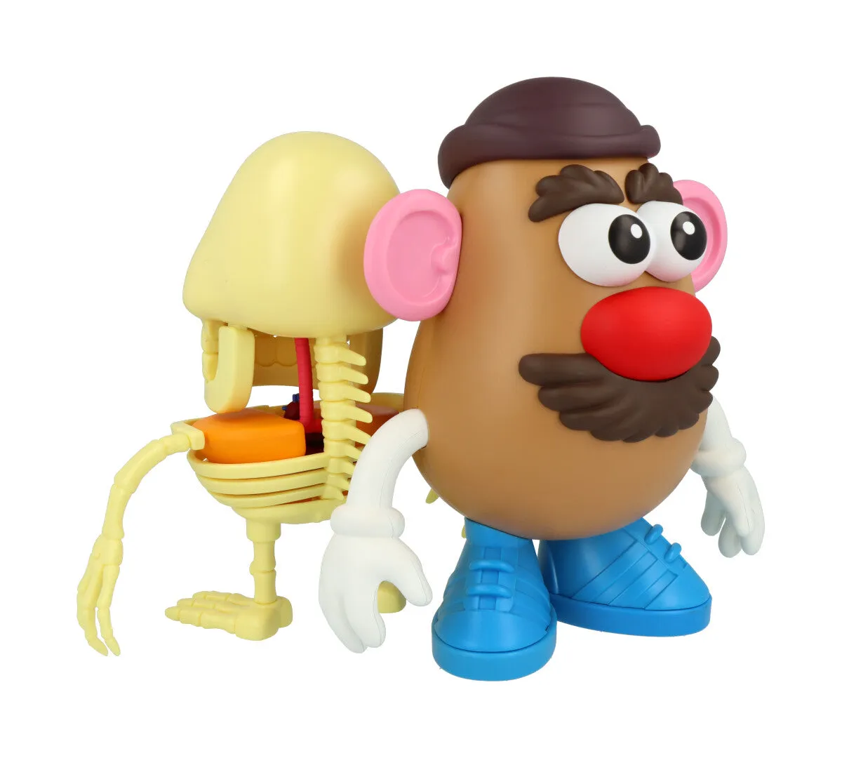 4D XXRAY Mr Potato Head