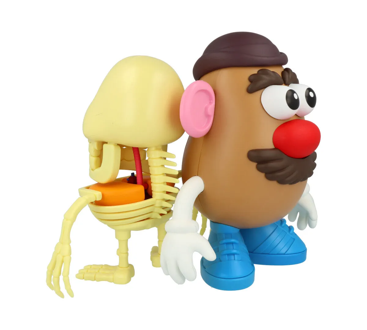 4D XXRAY Mr Potato Head