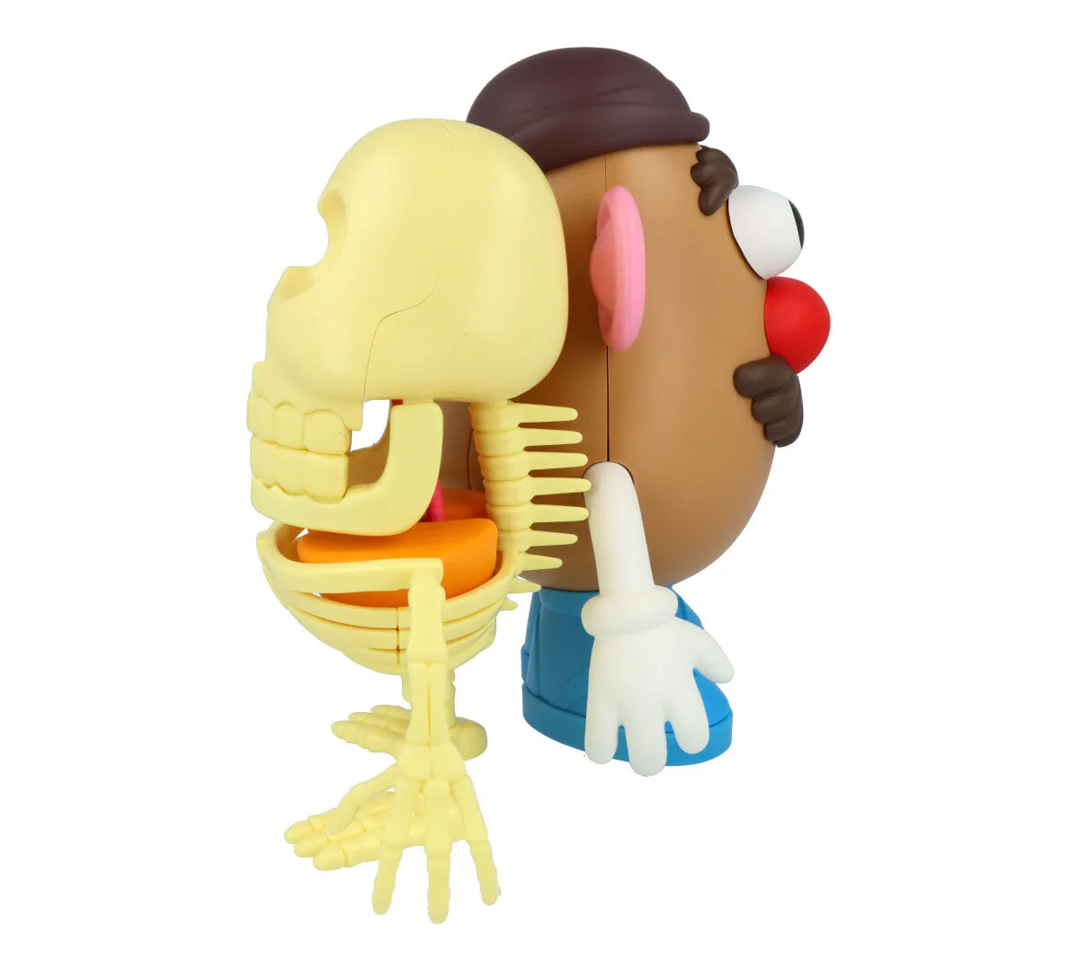 4D XXRAY Mr Potato Head