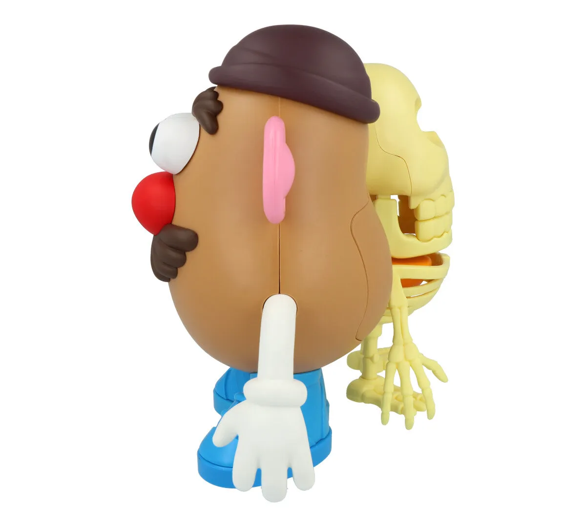 4D XXRAY Mr Potato Head