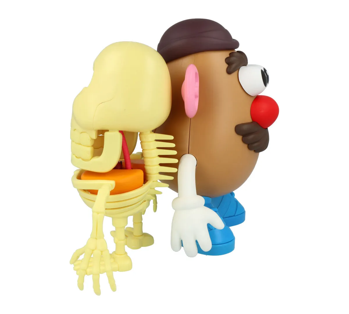 4D XXRAY Mr Potato Head