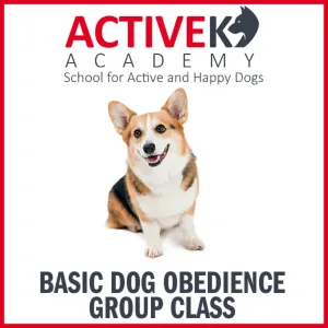 Active K9 Academy Basic Dog Obedience Group Class