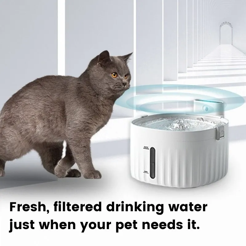 Cordless Rechargeable Pet Water Fountain with Motion Sensor