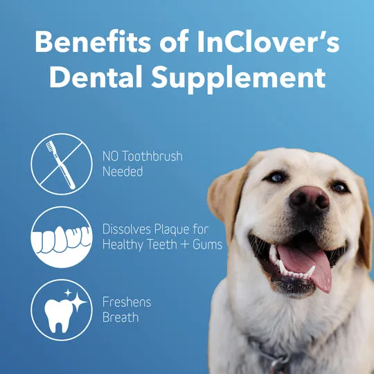 InClover BioBrilliant Dental Health Powder Supplement for Dogs & Cats