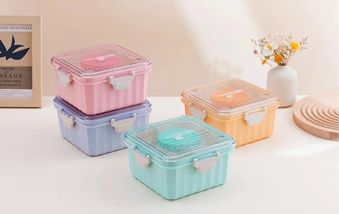 Lunch Box With Separate Partition (Microwave Safe)