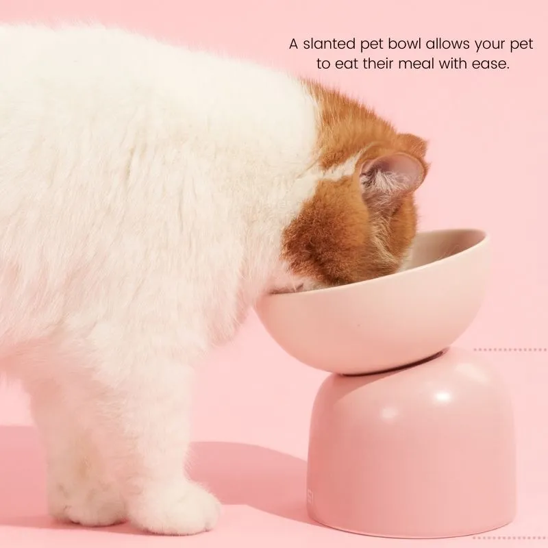 MS Two-Way Slanted Ceramic Pet Bowls