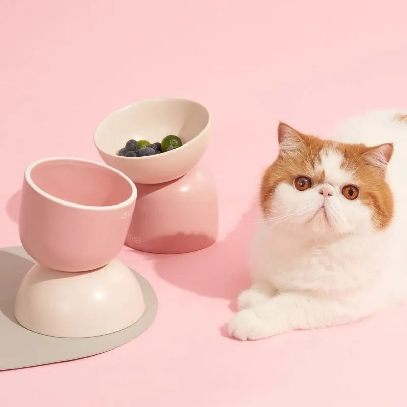 MS Two-Way Slanted Ceramic Pet Bowls