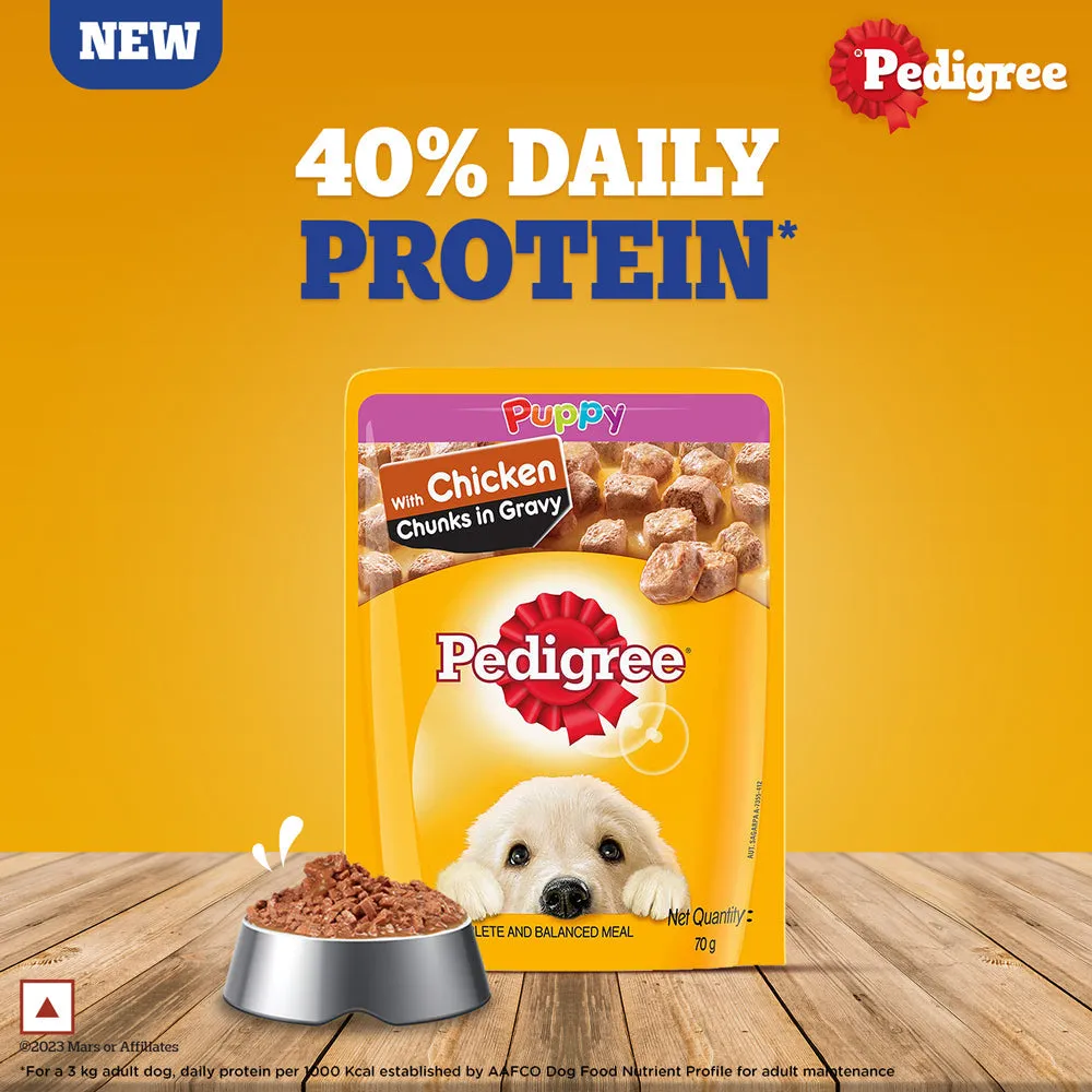 Pedigree Chicken Chunks in Gravy Pouch Puppy Wet Food (70g)