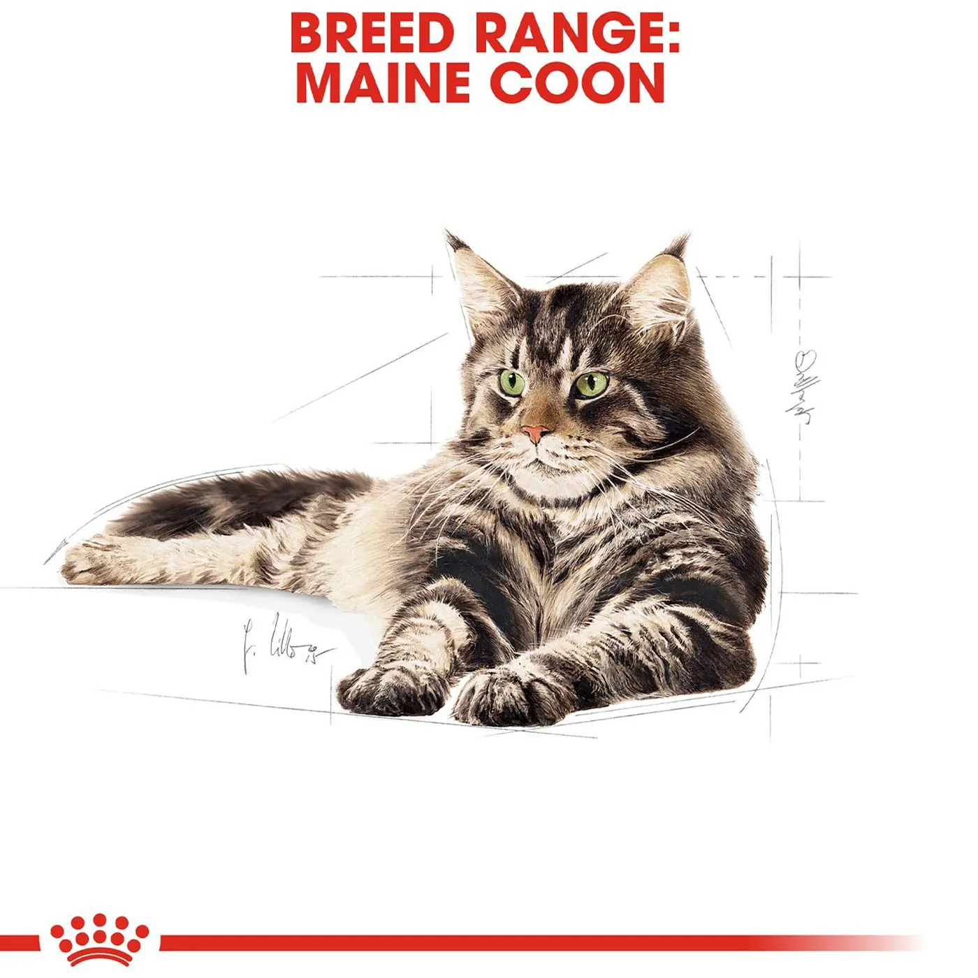 Royal Canin Maine Coon Cat Food 4KG