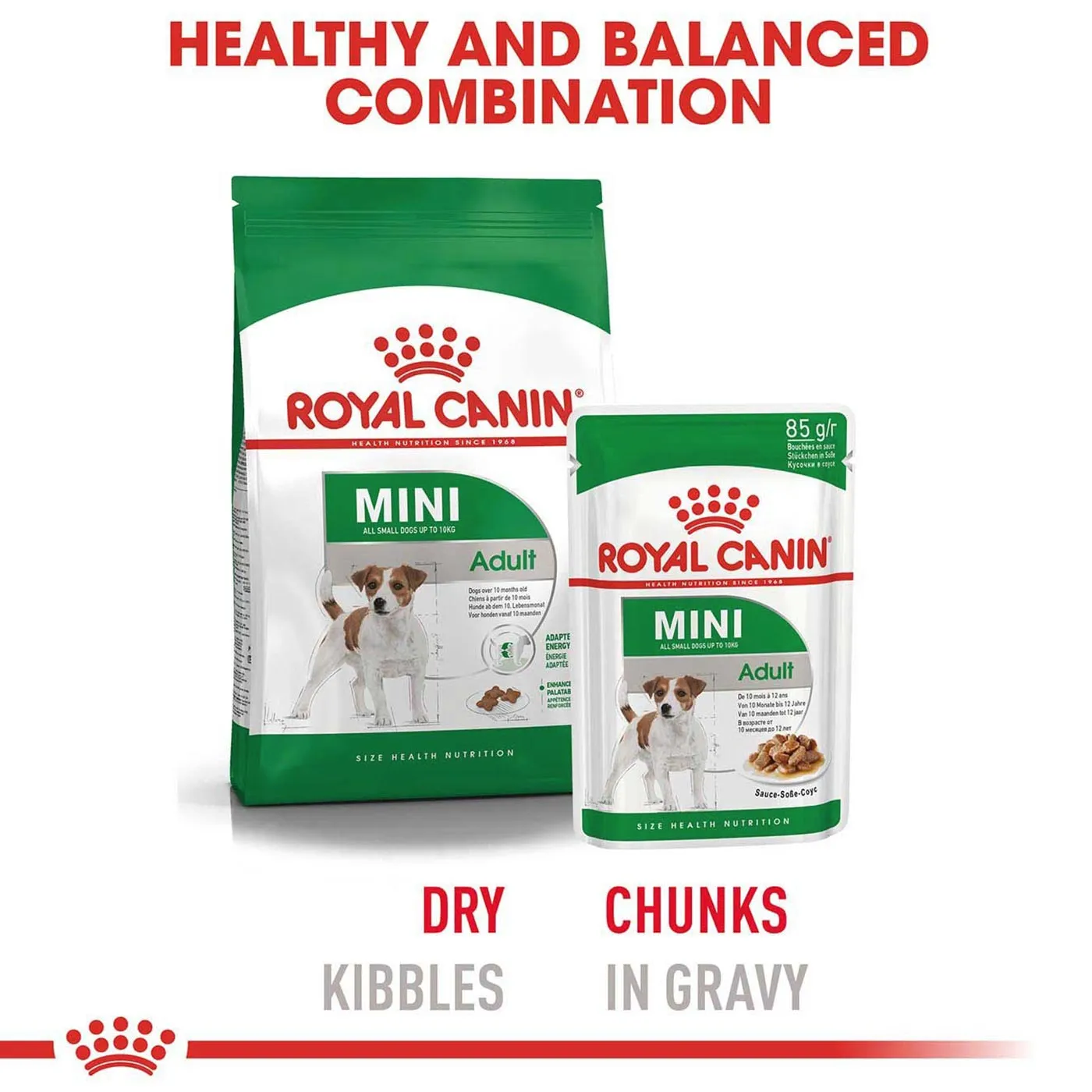 Royal Canin Mini Adult Dog Food