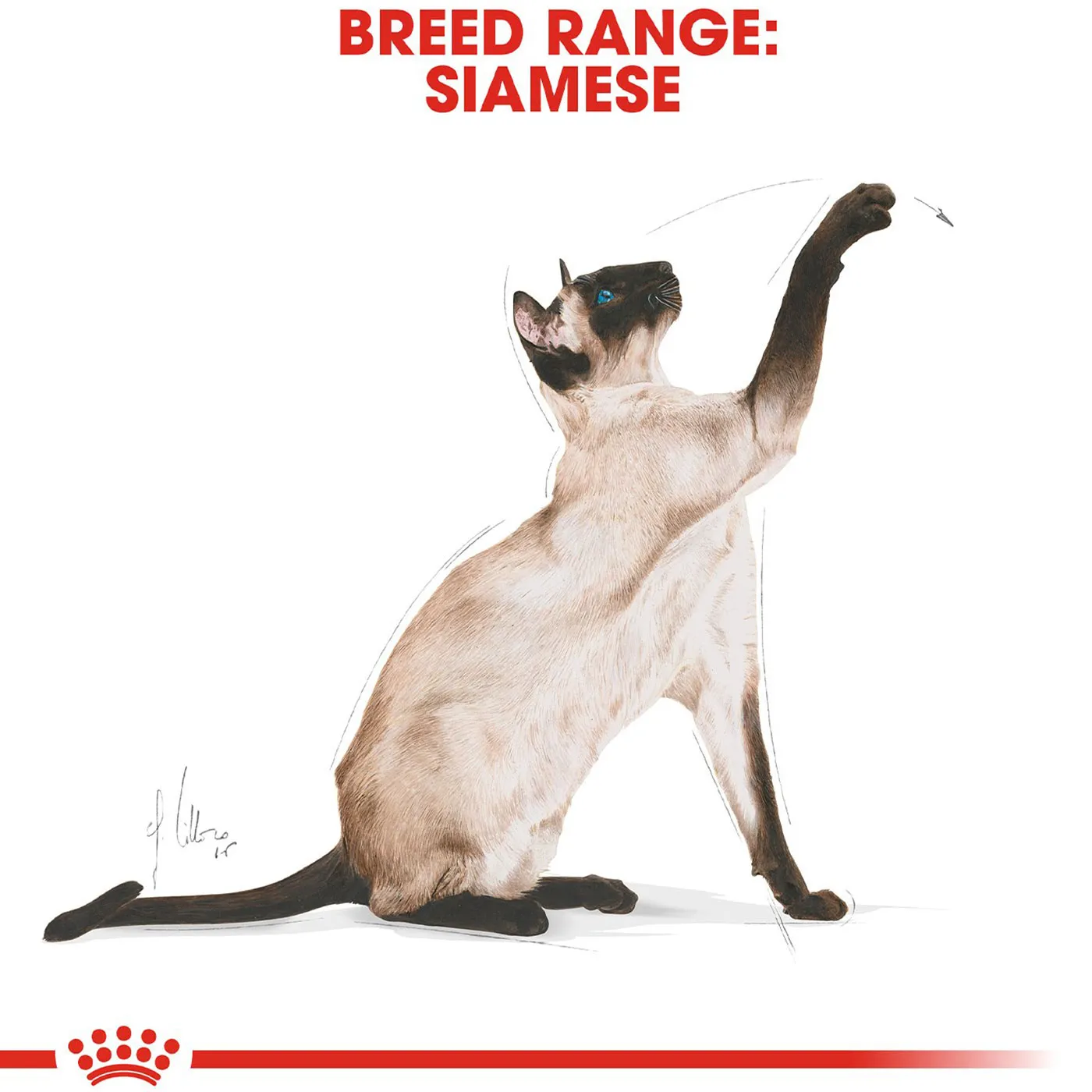 Royal Canin Siamese Cat Food 4KG