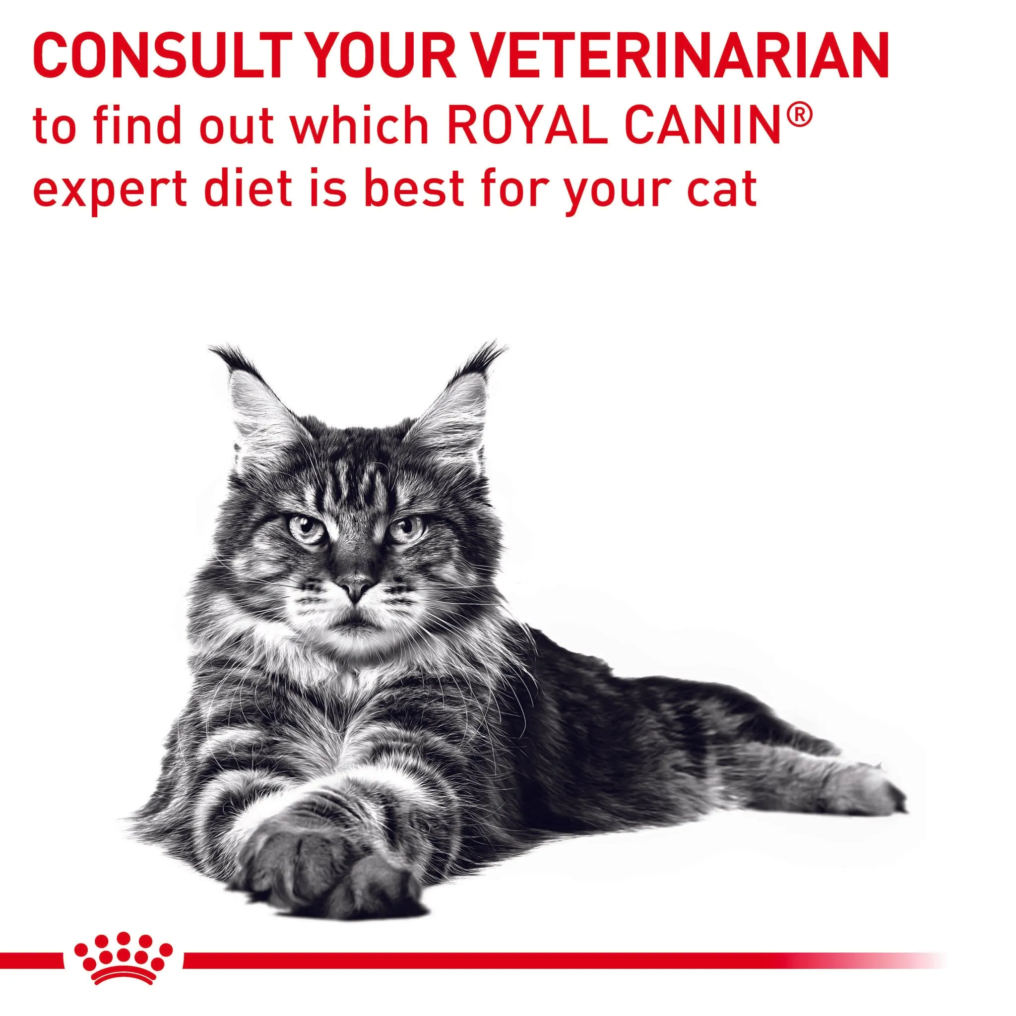 Royal Canin Veterinary Diet Neutered Balance Adult Wet Cat Food Pouches 85g x 12