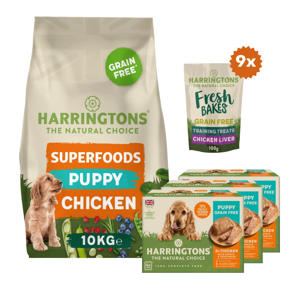 Superfoods Puppy Starter Pack