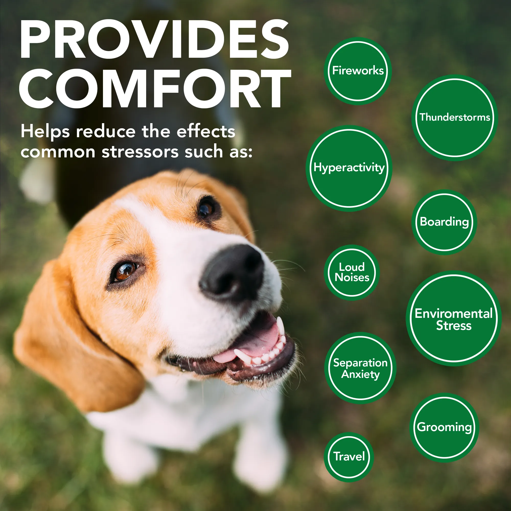 Vet's Best Comfort Calm Soft Chews 30ct