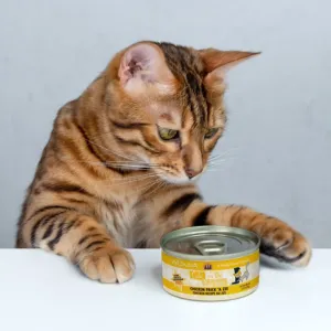 Weruva Cats in the Kitchen Chicken Frick 'A Zee Chicken Recipe Au Jus Canned Cat Food